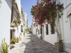 Calles del centro
