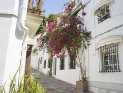 Paseando por Marbella