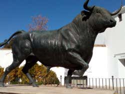 Toro frente a la plaza de Ronda