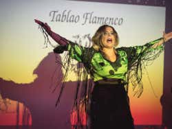Espectáculo de flamenco
