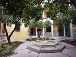 Limoneros del Palacio Episcopal
