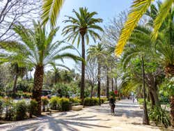 Palmeras en el Parque de Málaga