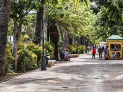 Paseando por el parque