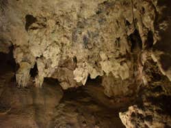 Techo de la Cueva de Nerja