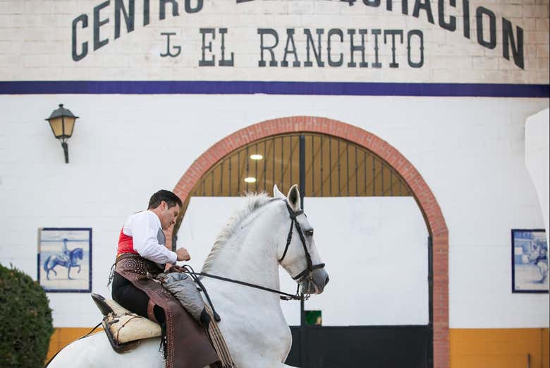 Viendo doma hípica en El Ranchito